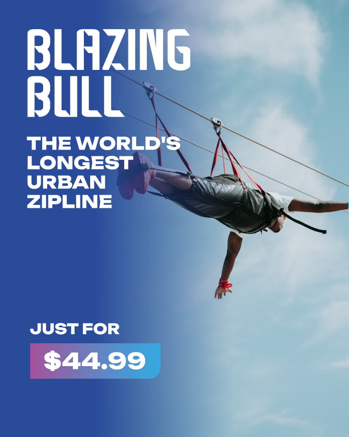 BLAZING BULL