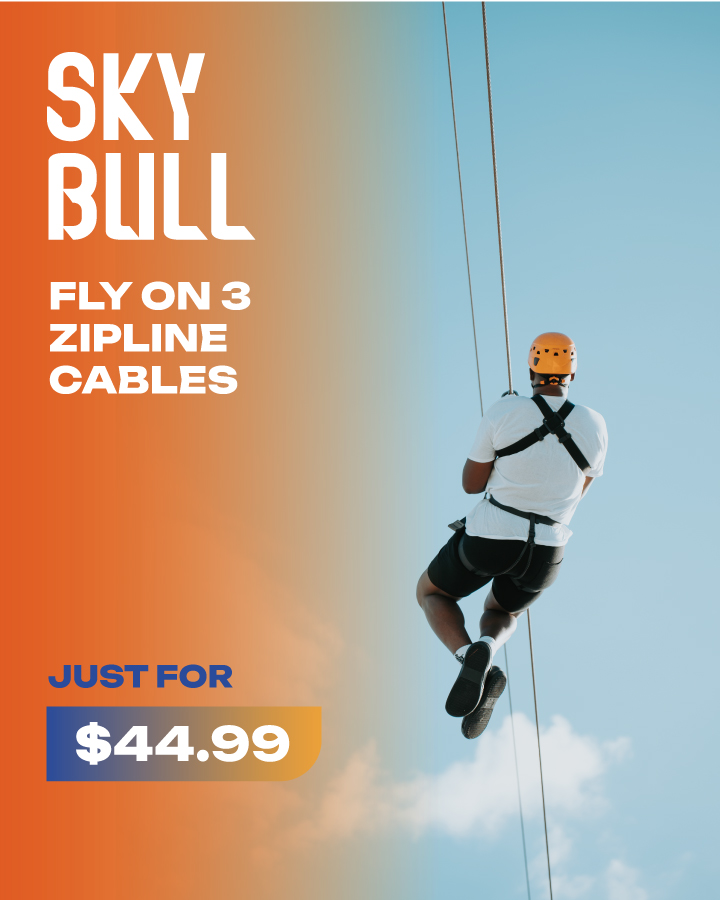 SKY BULL