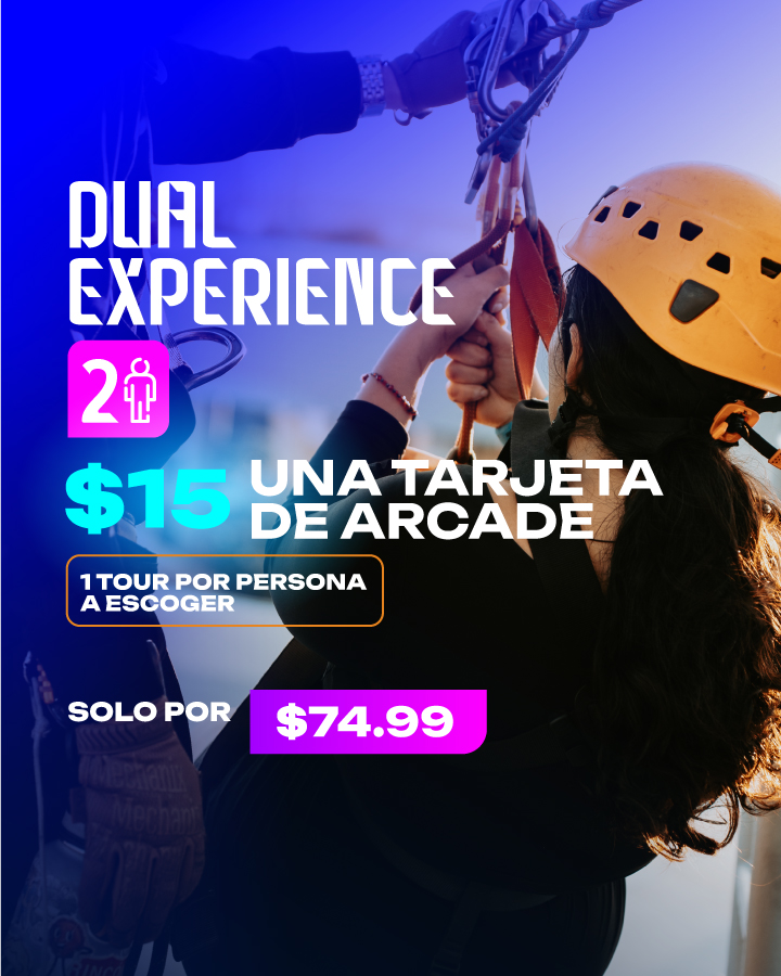 DUAL EXPERIENCE