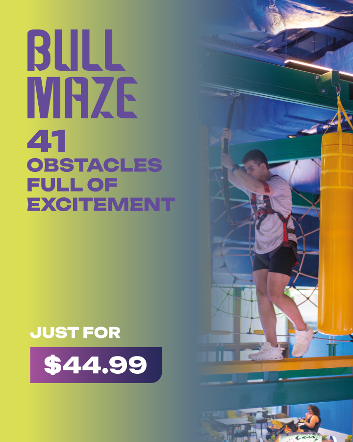 BULL MAZE
