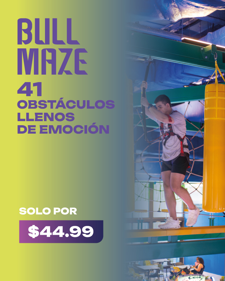 BULL MAZE