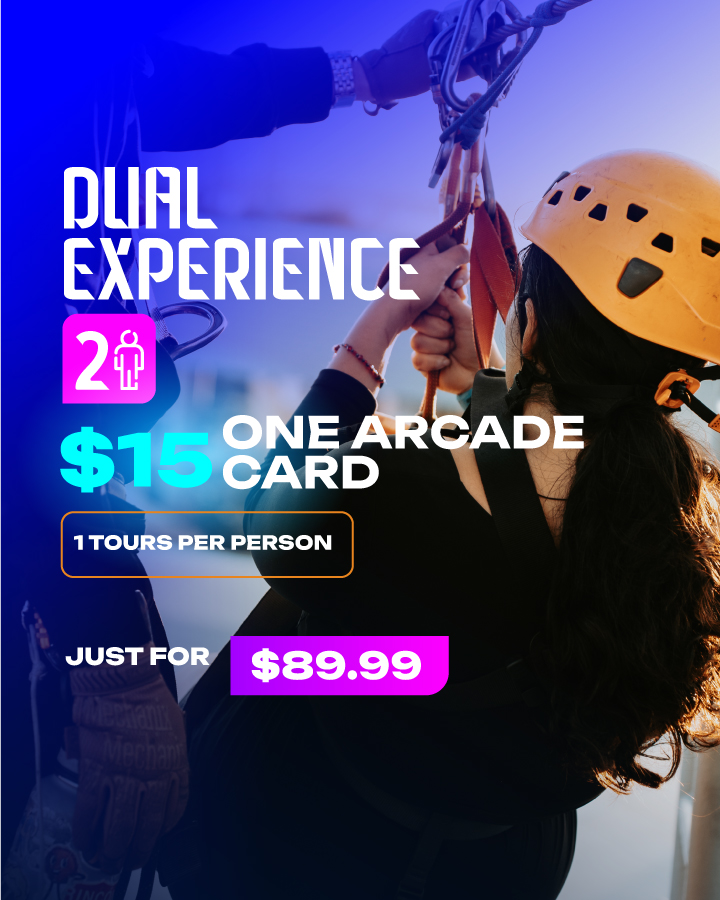 DUAL EXPERIENCE