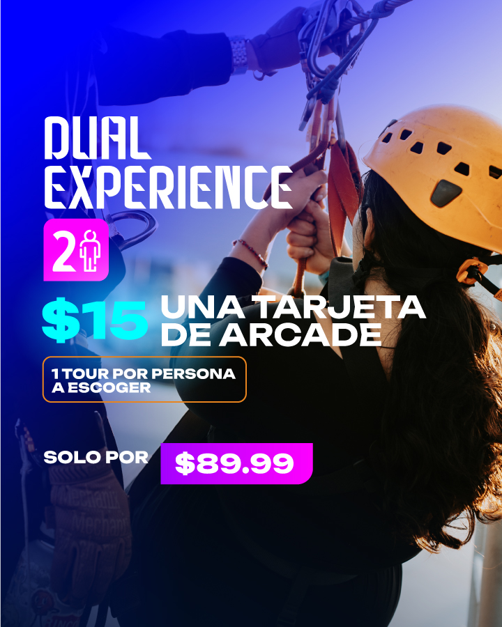 DUAL EXPERIENCE